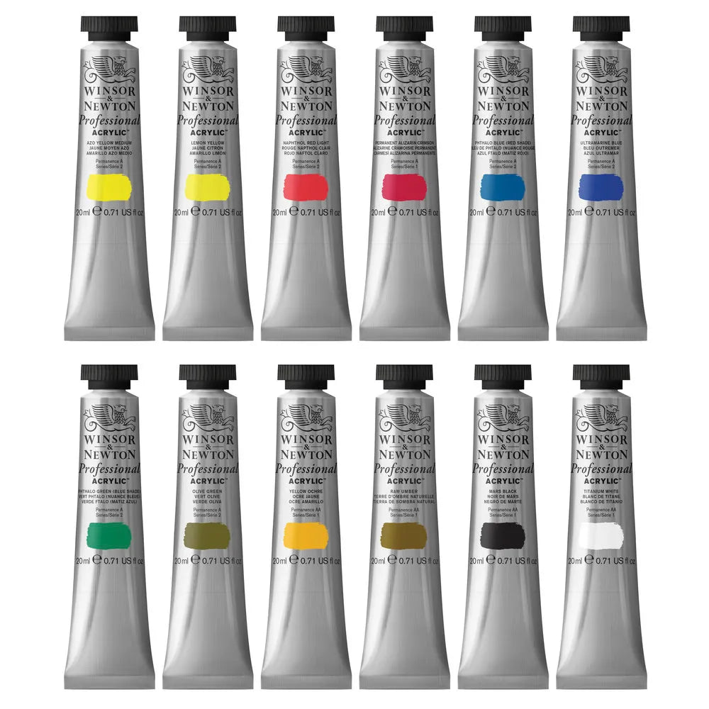 WINSOR & NEWTON Professional Acrylic Colour (Set of 12) 20ml Tubes