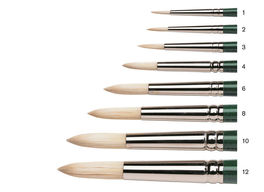 WINSOR & NEWTON Winton Hog Brushes Round