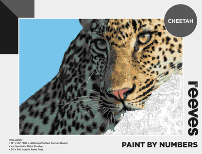 REEVES Paint By Numbers 12x16 Inch