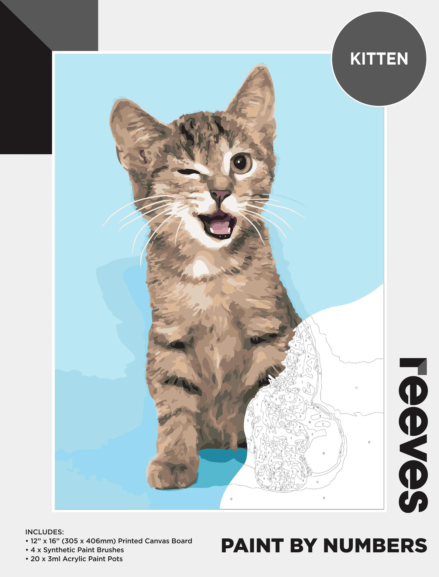 REEVES Paint By Numbers 12x16 Inch