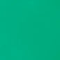LIQUITEX Professional Heavy Body Acrylic Paint 59 ml