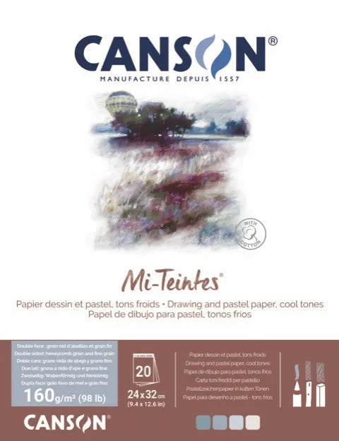 Front of a Canson Mi-Teintes drawing and pastel paper pack, showing the Canson logo, a watercolor landscape illustration, and product details including 160 g/m² (98 lb), 24 x 32 count, and cool tone palette swatches on a white background with a brown band at the bottom.