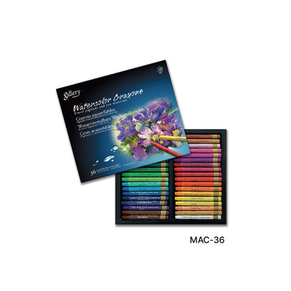 MUNGYO Gallery Artists Aquarelle Oil Pastel Extra Soft Water Soluble (Box)