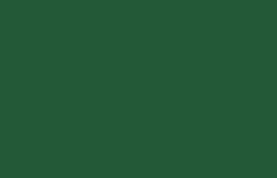 LIQUITEX Professional Acrylic Spray Paint 400ml (Aerosol)
