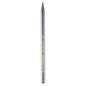 A single metallic silver pencil graphite stick with gold text reading KOH-I NOOR HARDTMUTH PROGRESSO on a white background