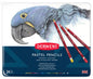 DERWENT Professional Pastel Pencils