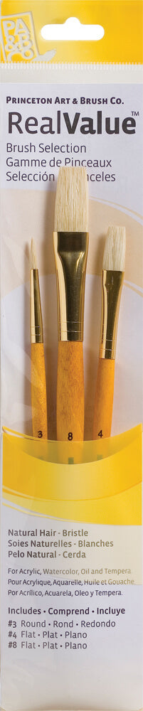Princeton Art & Brush Co. Real Value 4-piece brush set in its original yellow retail packaging, featuring natural bristles and gold ferrules.