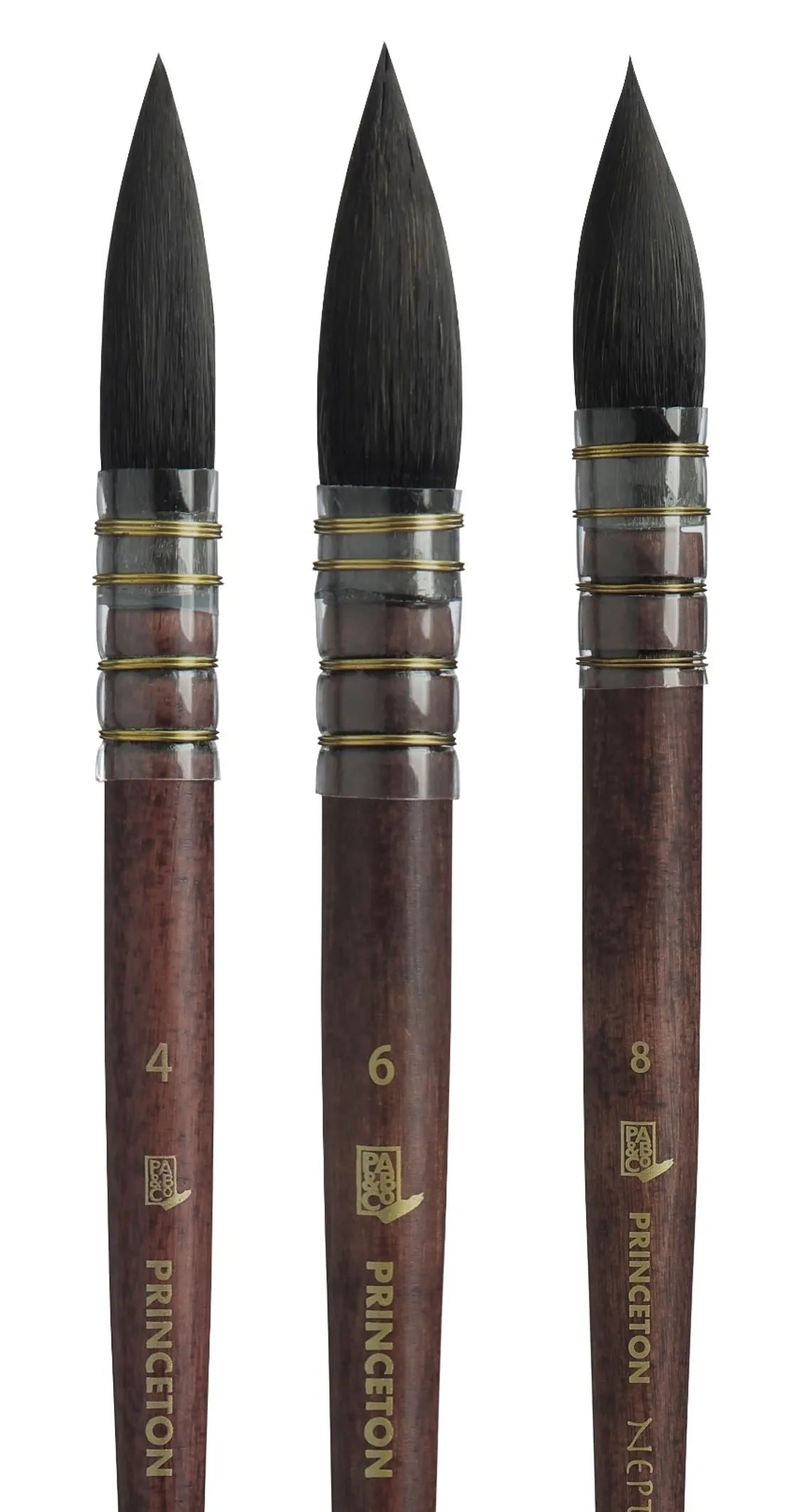 Princeton Neptune Quill Brushes on a white background