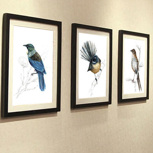 Four framed bird artworks on a wall with a bookshelf in the background