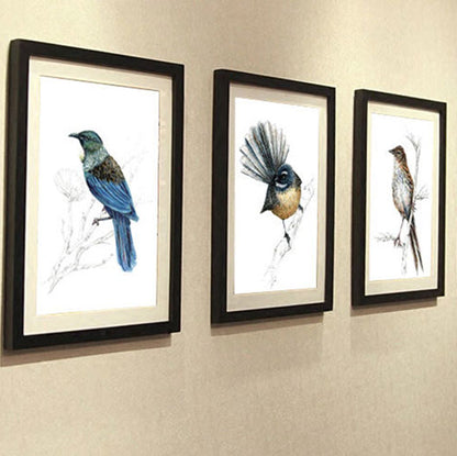 Four framed bird artworks on a wall with a bookshelf in the background