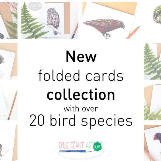 Collage of folded cards with bird illustrations and text about a new collection with over 20 bird species.