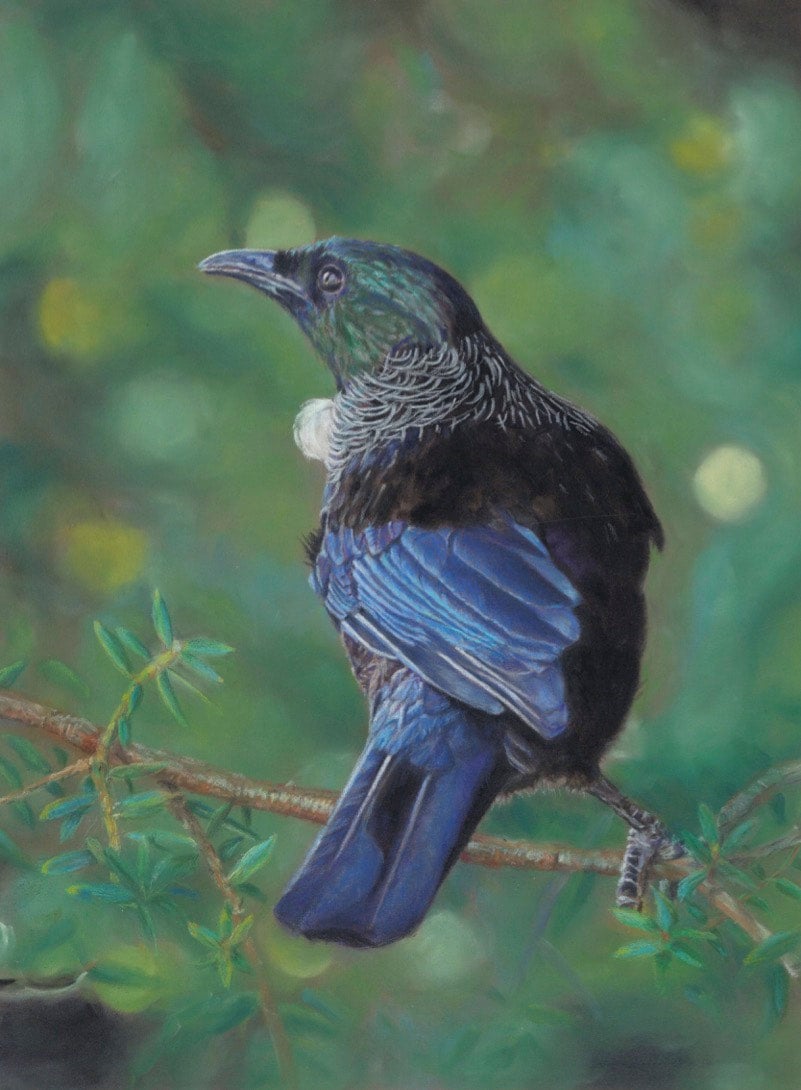 Darren Wallace Artist Blank A5 Notebook