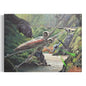 Darren Wallace Artist Blank Cards